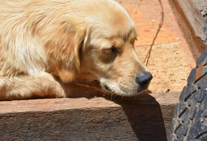 Emaroo Cottages Broken Hill