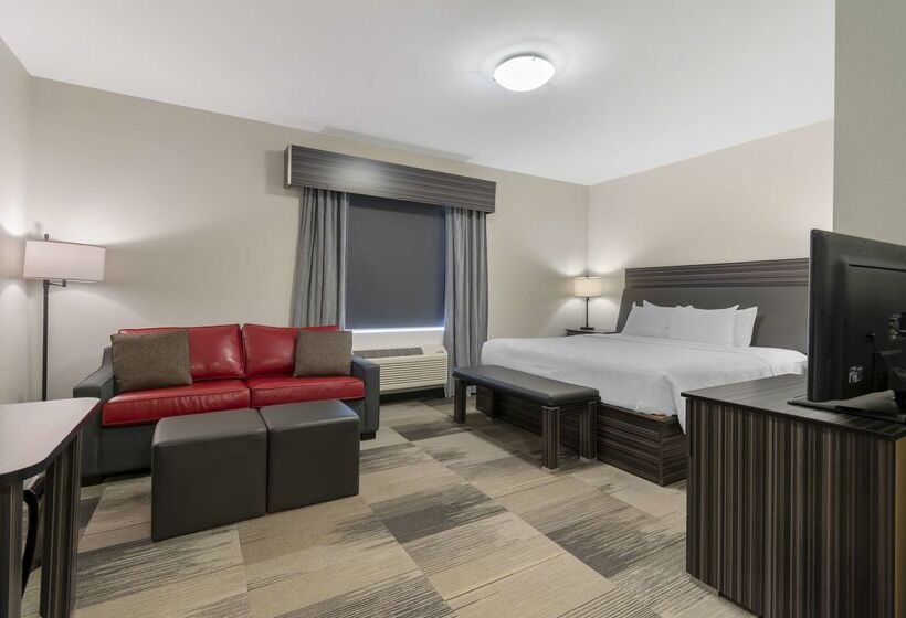 Hotel Best Western Plus Airport Inn & Suites
