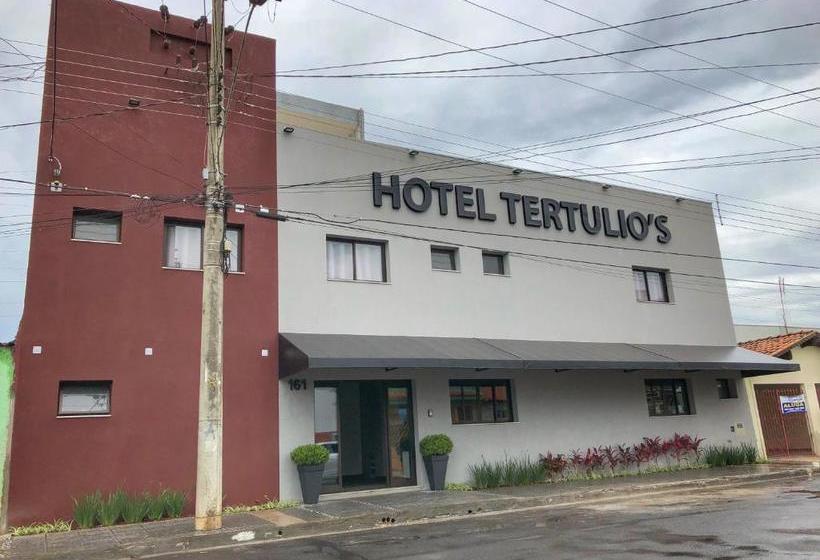 Hotel Tertulio S