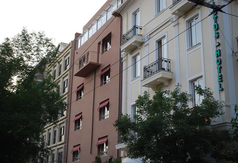 Отель White Lotus Luxury Accommodation