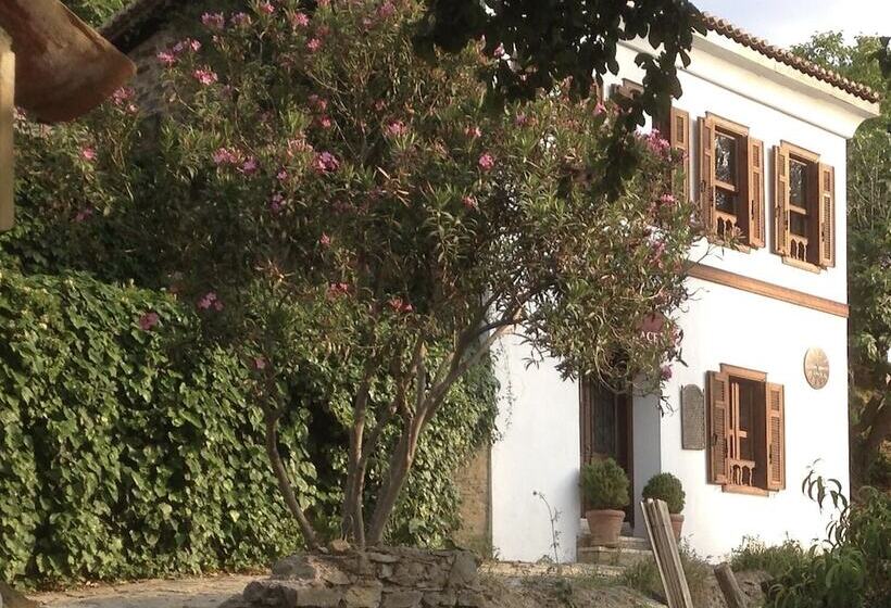 پانسیون Terrace Houses Sirince   Fig, Olive Clockmakers And Grapevine