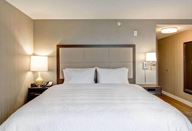 هتل Hampton Inn & Suites By Hilton Saskatoon Airport