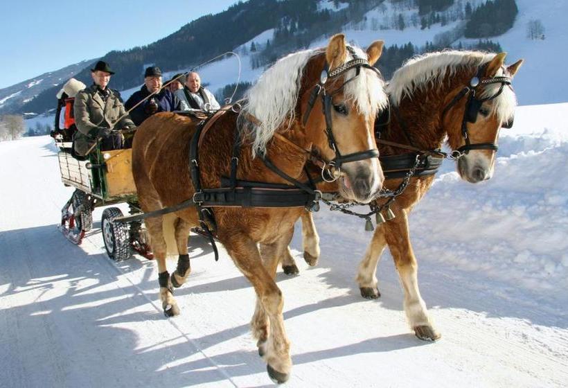 酒店 Schloss Thannegg