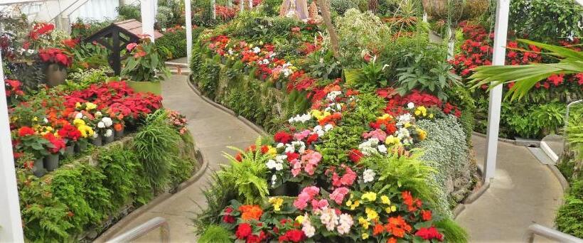 מוטל Bk's Magnolia Motor Lodge