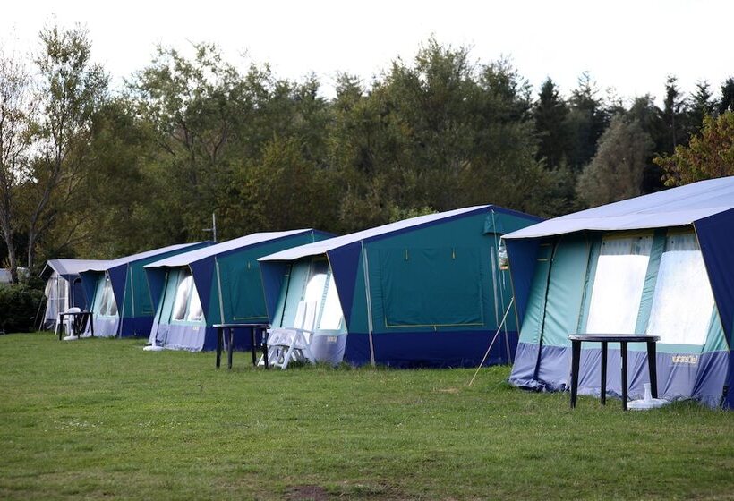 בית מלון כפרי First Camp Ajstrup Strand