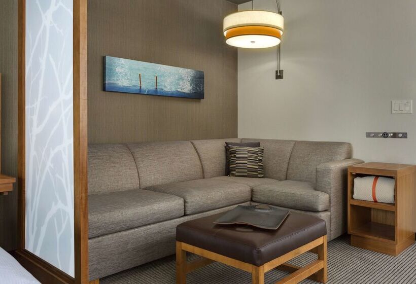 호텔 Hyatt Place Chicago/downtown The Loop