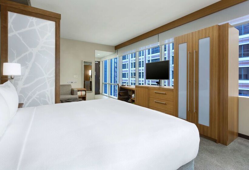 호텔 Hyatt Place Chicago/downtown The Loop