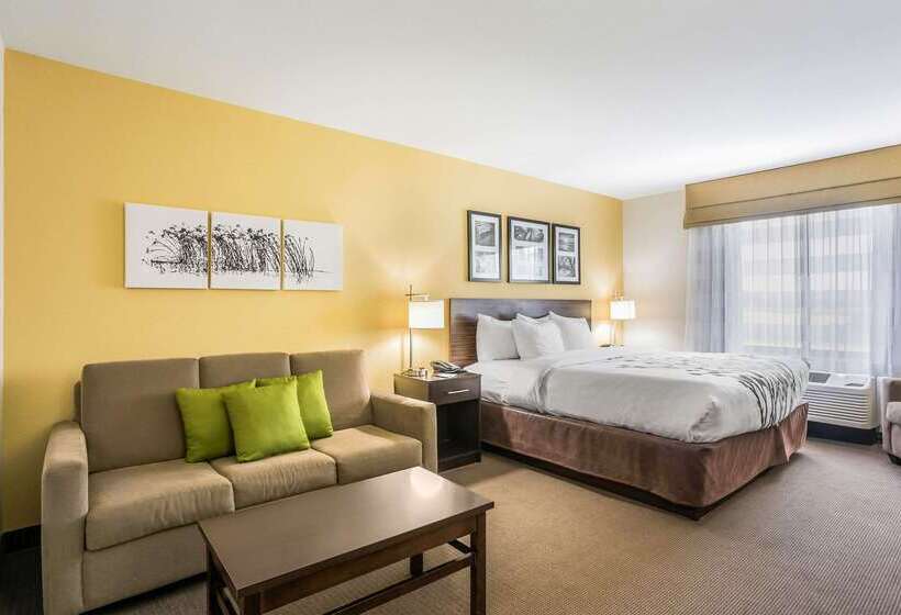 בית מלון כפרי Sleep Inn & Suites Hannibal