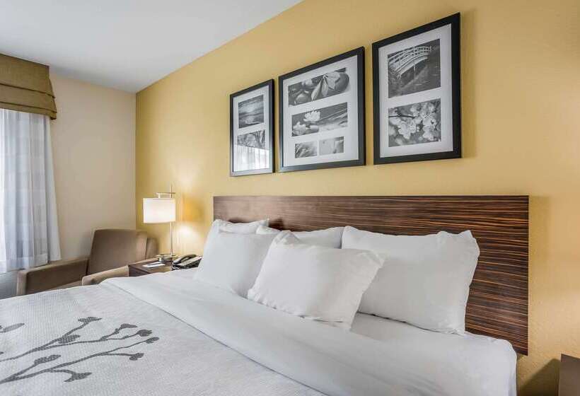 בית מלון כפרי Sleep Inn & Suites Hannibal