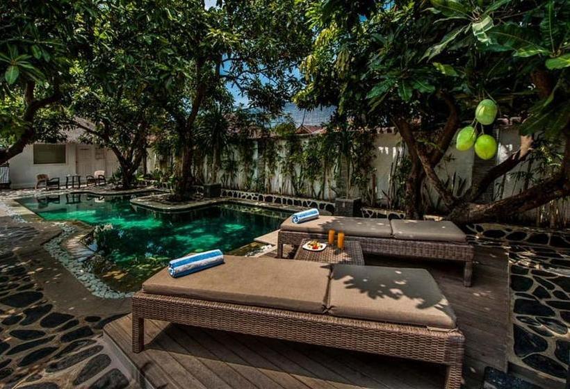 مُتل Scallywags Mango Retreat