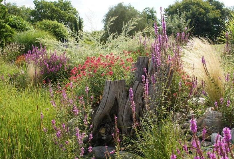 مبيت وإفطار Chambre D Hôtes Insolite Dans Un Pigeonnier à 5 Minutes De Marciac Gers