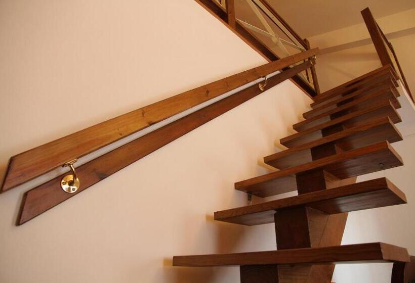 تختخواب و صبحانه Champs Elysees Guesthouse