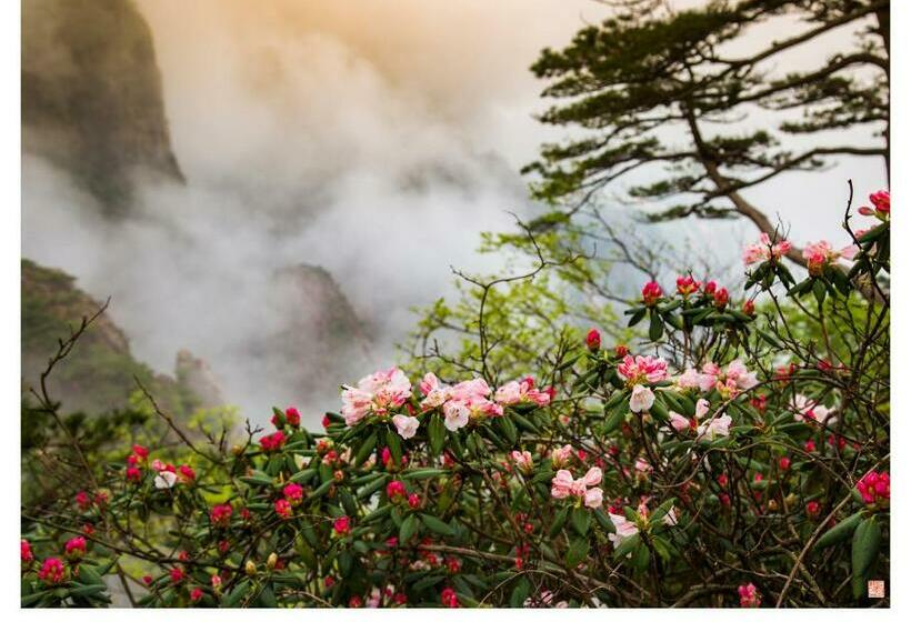 Отель Huangshan Paiyunlou