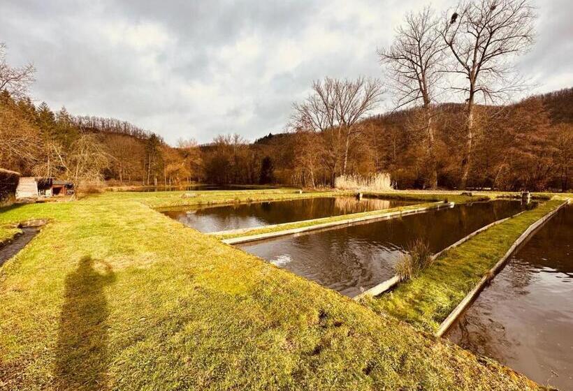 ホテル | Restaurant | Forellenzucht