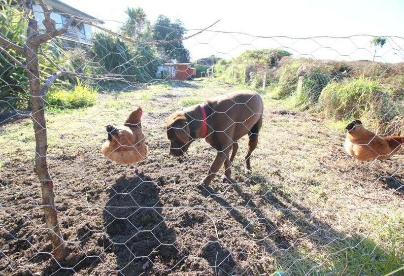 Пансион The Red Hen And Dog