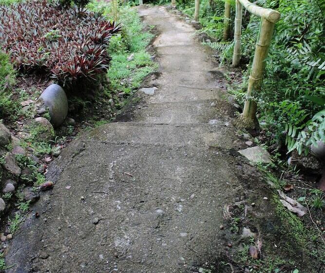 旅馆 Mountain View Cottages & Villa Tangkahan
