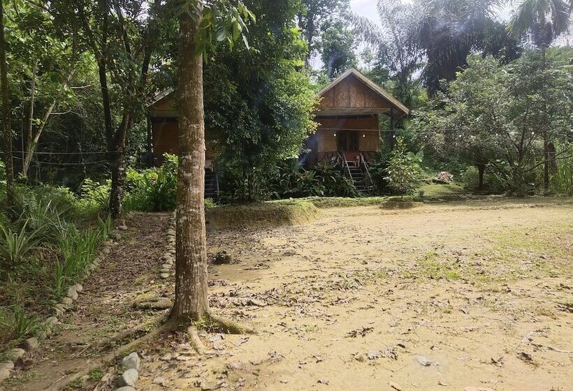 旅馆 Mountain View Cottages & Villa Tangkahan