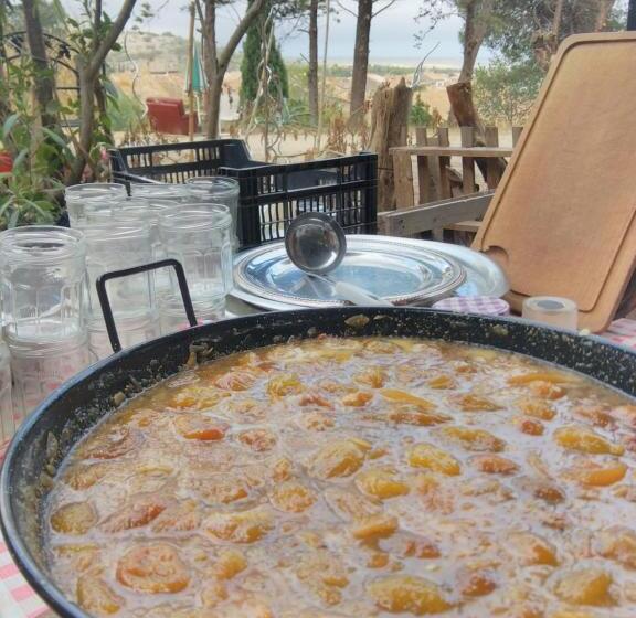 ベッドアンドブレックファースト Bed & Diner Les Terrasses De La Palme