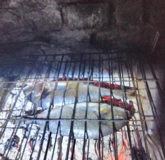 ベッドアンドブレックファースト Bed & Diner Les Terrasses De La Palme