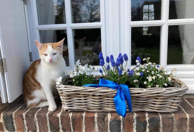 ベッドアンドブレックファースト L Armandière