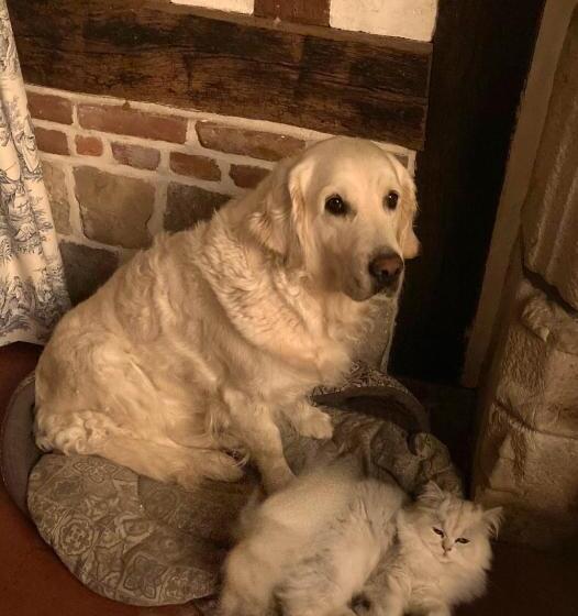 ベッドアンドブレックファースト L Armandière