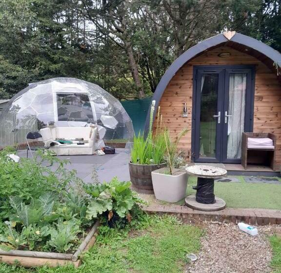 مبيت وإفطار South Lodge House