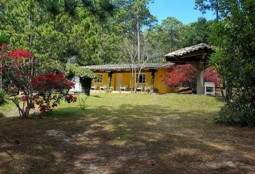 Hotel Cabañas Bosque Llano De La Virgen