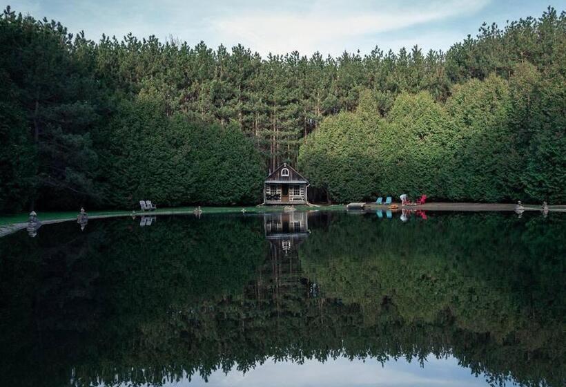 פנסיון A Rustic Cabin In The Woods