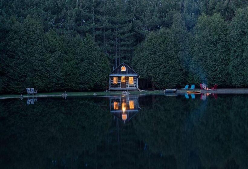 פנסיון A Rustic Cabin In The Woods