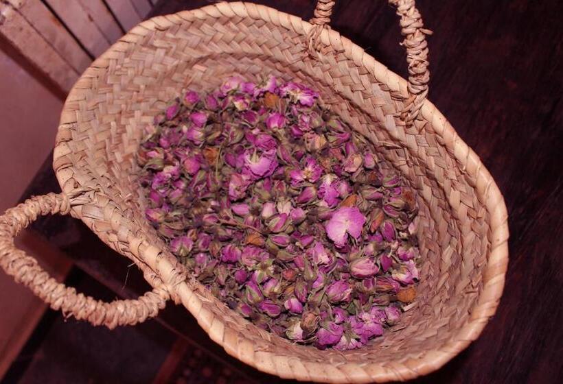 پانسیون Riad Gabsi Dades