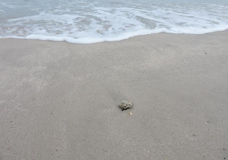 فندق Kuala Melaka Inn