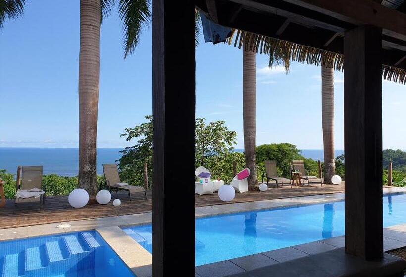 مبيت وإفطار Palmetto Lodge