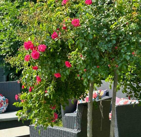 La Glycine B&b
