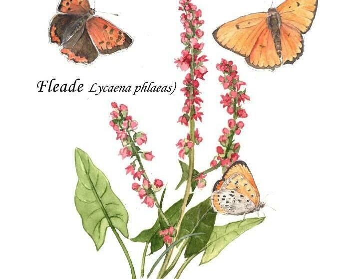 펜션 Cascina Lai Oasi Naturalistica Camere Private