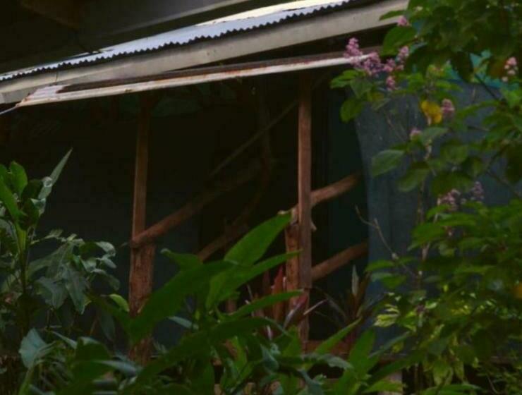 Пансион Corcovado Guide House