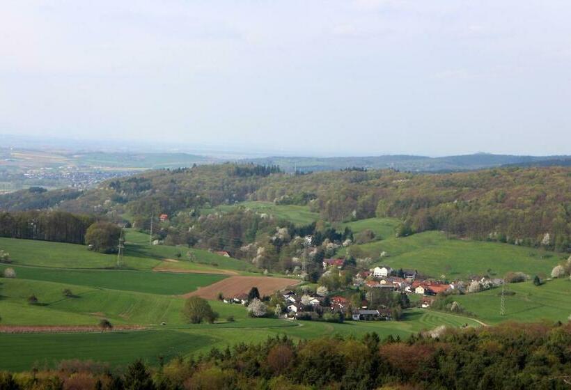 Общежитие Gasthaus Zum Hohenstein