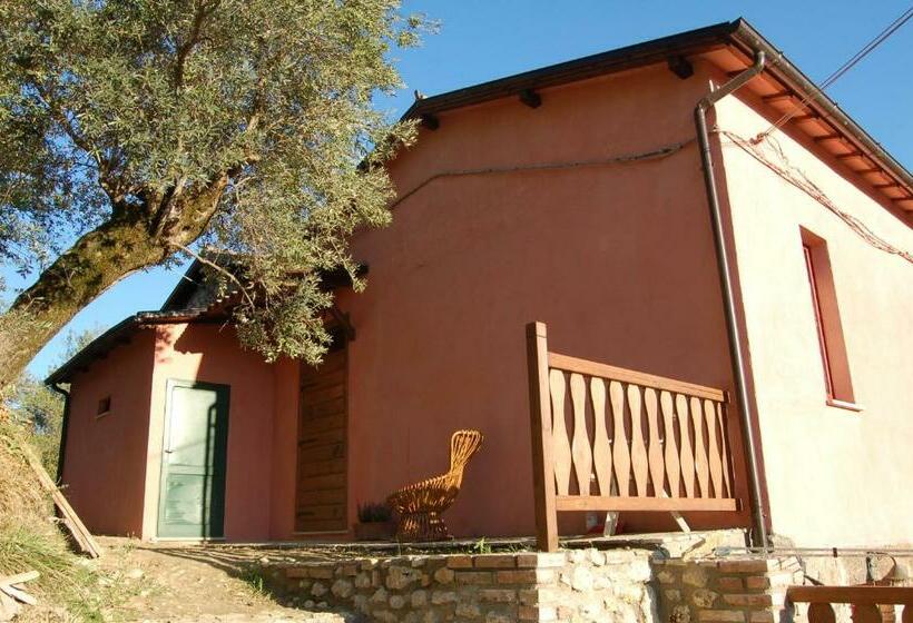Отель Azienda Agricola Colle Paradiso