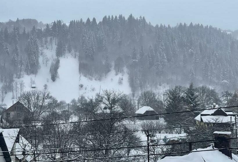 Отель Elitegasthaus Moieciu A