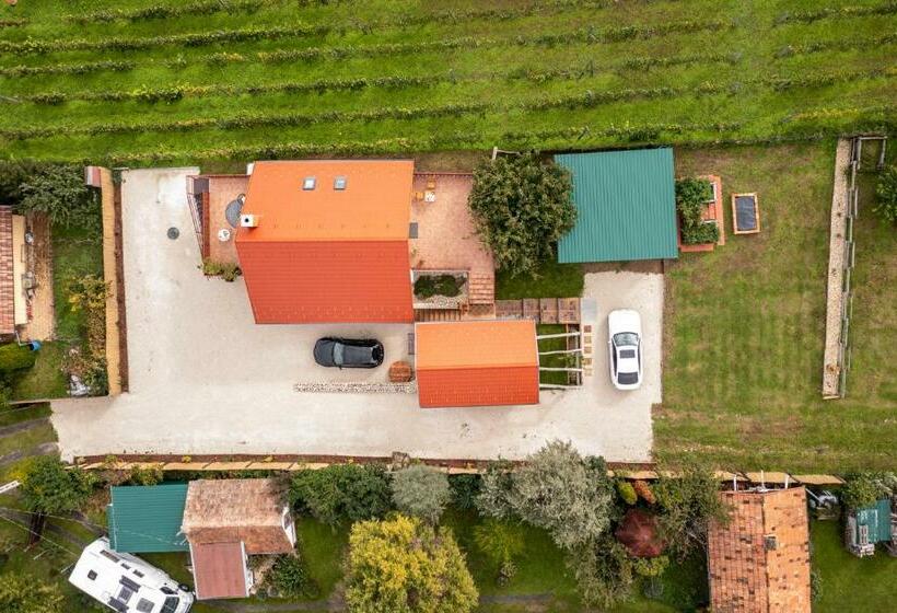 بنسيون Kapocs Apartmanház