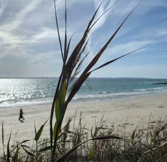 住宿加早餐  Le Ch’ti Breizh Home