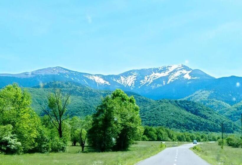 Pensiunea Valea Lisei