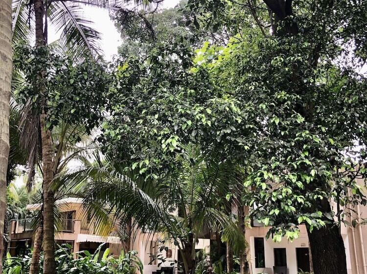 בית מלון כפרי Mango Beach House Kihim Alibaug
