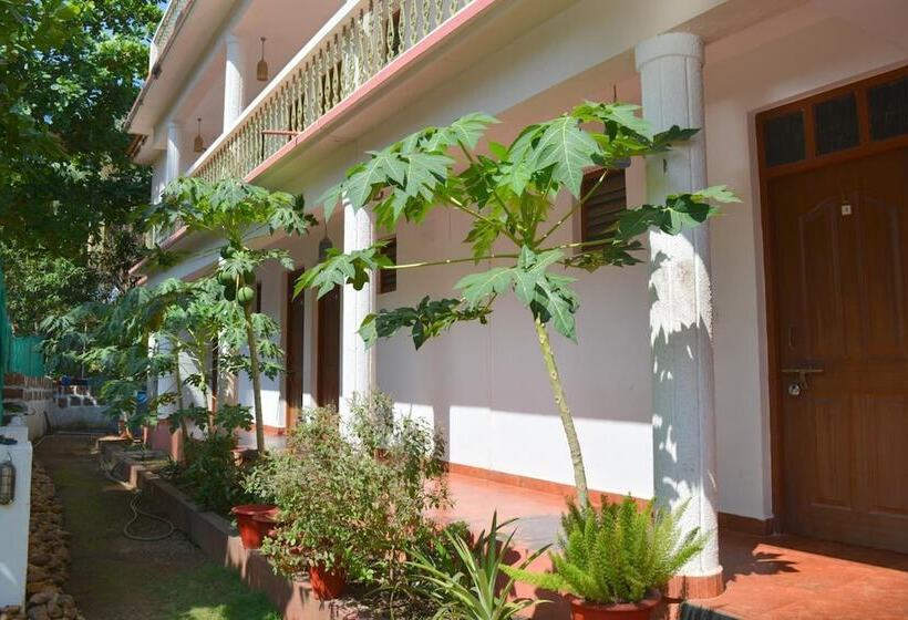 پانسیون Pebbles Guesthouse