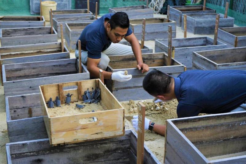 渡假胜地  Six Senses Con Dao   Turtle Island Paradise