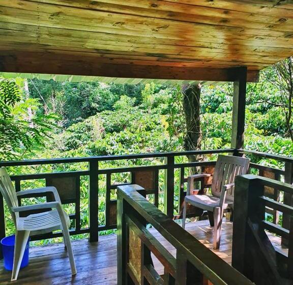 渡假胜地  Turtle Pond Home Stay