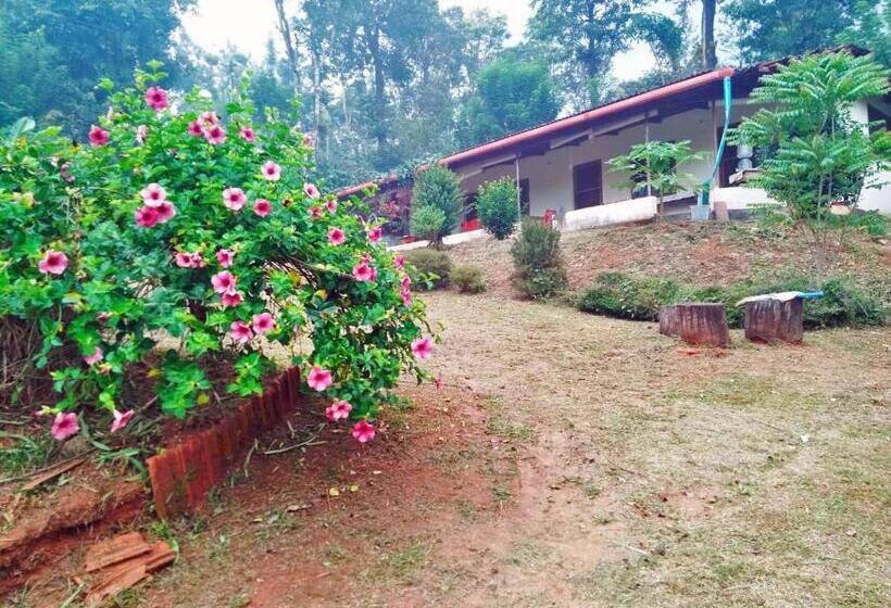 渡假胜地  Turtle Pond Home Stay