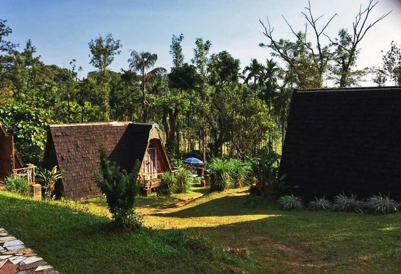 渡假胜地  Turtle Pond Home Stay