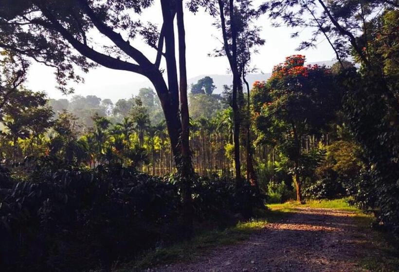 渡假胜地  Turtle Pond Home Stay