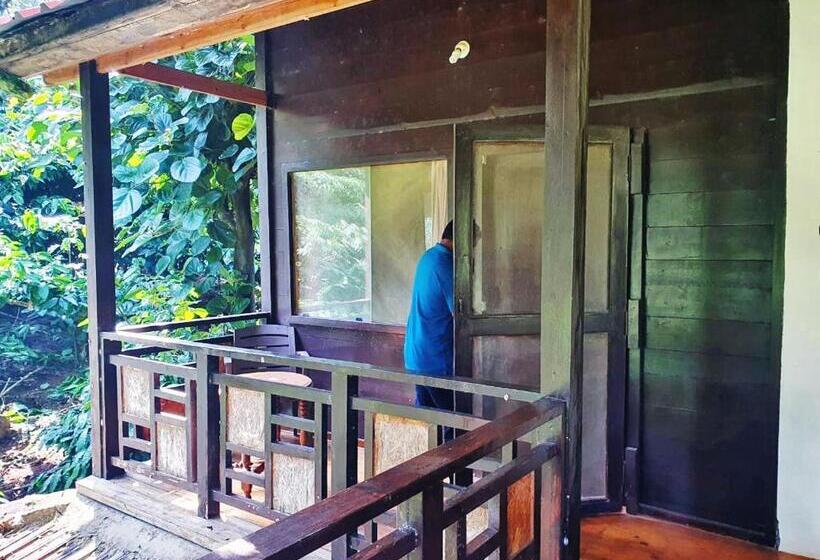 渡假胜地  Turtle Pond Home Stay
