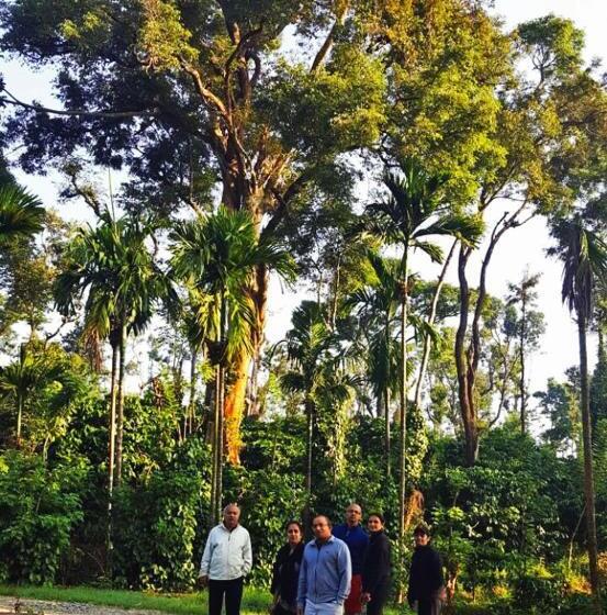 渡假胜地  Turtle Pond Home Stay